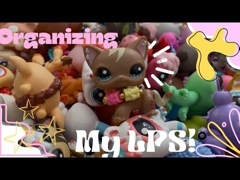 Let’s Organize My LPS with Me! (Organizing/Collection tour)￼