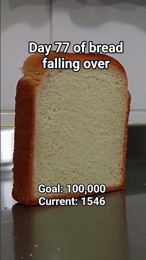 day 77 of bread falling over #bread #falling #over #breadfallingover