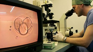 Semen explosion at bull artificial insemination plant, 'projectiles' fly | The Jerusalem Post