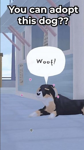 You Can Get a DOG in Tiny Bookshop 🐶