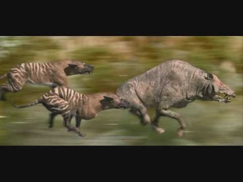 Walking with Beasts - 1. Main Theme