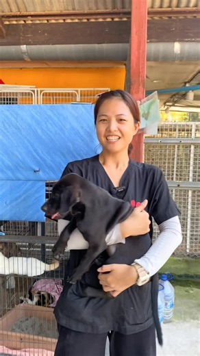 Big changes ahead for Rescue Paws Thailand! 🐾 We’re in full on packing mode as we get ready to move into our new clinic in 2 days! It’s been a little emotional sorting through everything. There are so many memories in these walls, from our very first rescues to the countless dogs who’ve found love and new homes here. Stay tuned! We can’t wait to show you the new clinic full of life soon! | Rescue PAWS