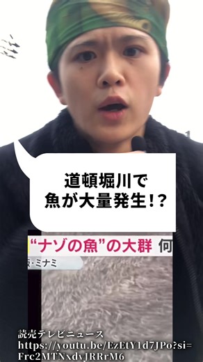 道頓堀川の謎の魚大発生について