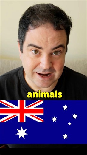 🇦🇺 All the Australian Animals there are