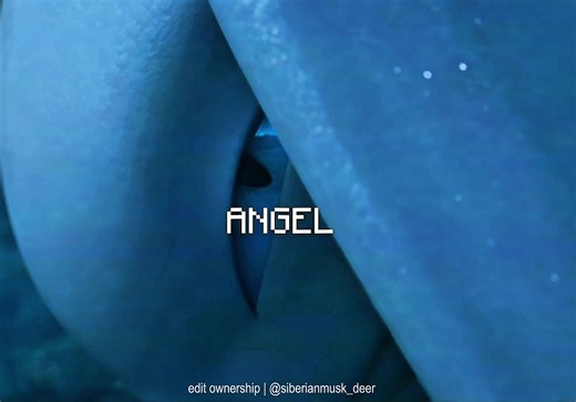 “cutting the ropes” and then toothless leaves (repost bc last post was too laggy #httyd #howtotrainyourdragon #fyp #edit #viral