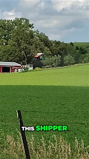 #blurryvideo #zoom #videoquality The video quality suffered when the user had to zoom in. The picture became blurry as a result. Have you experienced this before? https://soundcloud.com/gaminghiphop https://www.facebook.com/GamingHipHop https://www.instagram.com/n_pact_playa3/ https://thaall-stargang.wixsite.com/thaall-stargang https://twitter.com/gaminghip_hop https://www.tiktok.com/@npactplaya | Gaming Hip-Hop Radio | Facebook