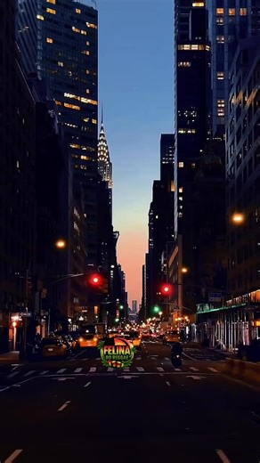 FELINA DO REGGAE: A Jamaica Music Experience