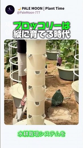 種から収穫まで：水耕栽培タワーの設置とブロッコリー育成ガイド #worker #process #agriculture #diy #ecofriendly