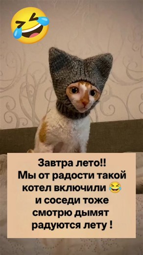 Завтра лето прикол: котёл включили от радости