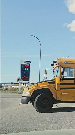 2024 Blue bird vision #bluebirdbus