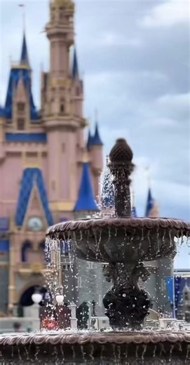 Discover the Magic of Walt Disney World Experiences