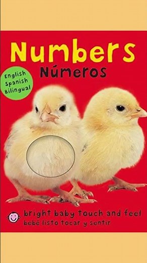 Board Books in Spanish