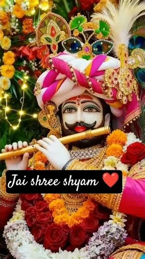 shyam darshan 11 apirl2026❤️🙏 #shyam #shiyam #love #shyambababhjan #song #shyan #radheshyam #bome