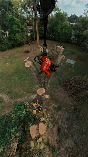 #grapplesaw #palfingercranes #PalfingerUSA #fyp #cranelife #cranerental #reel #getitdone #pk65 #treeremoval #virals #shortsfeed | Gulf Coast Crane Company