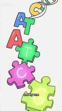 Illumina sequencing technology basics