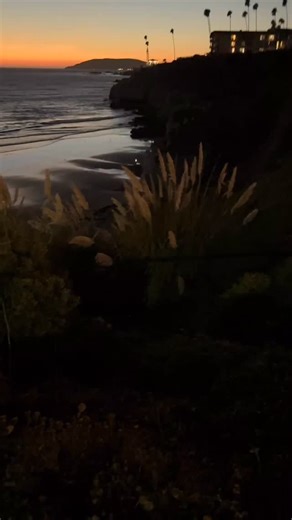 Tour Guide Cafe on Reels