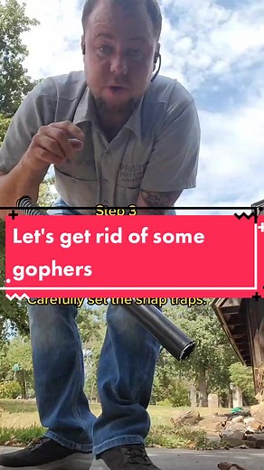 How I Professionally treat for Gophers-Moles