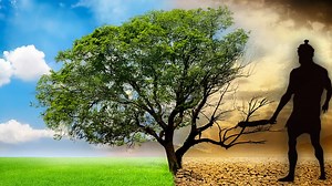 2 Million Years of Change: How Shifting Climates Drove Human Evolution