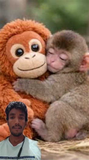 kurkure Lelo #bome 💥Building🥰 a Wooden Log Cabin in the Forest😳 Step-by-Step Survival House