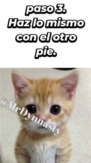Tutorial para caminar🗣️🔥 #parati #fyp #fypviralシ #meme #humor
