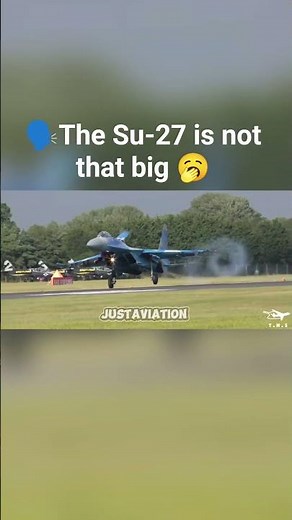 The real size of a Su-27 #aviation#plane