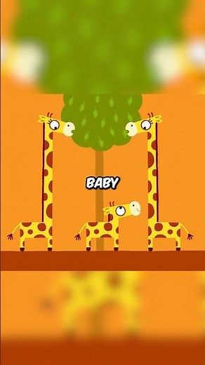The baby giraffe they laughed at…
