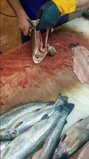 How to Pull the Guts Out of Trout | Fish Filleting