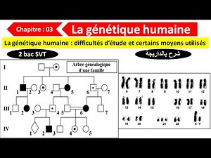 La génétique humaine difficultés d'étude et certains moyens utilisés (شرح بالداريجة)