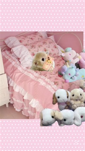 I’m liek half awake honk mimimi #princess #bunny #unicorn #whimsy #kitten