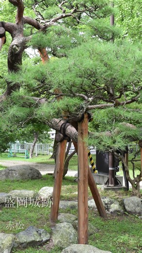 盛岡城跡