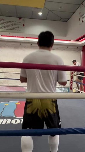 Boxing Training Session: Punches and Defense Techniques