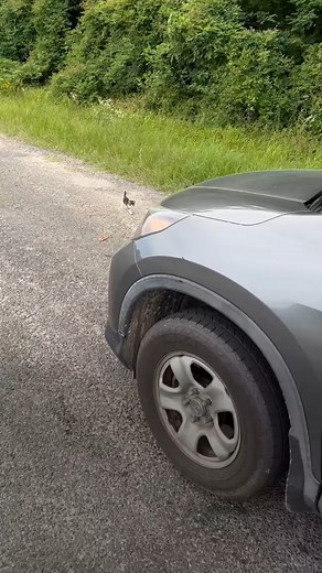 971K views · 35K reactions | Try Not to Laugh on Reels | Facebook