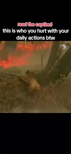 Make a Difference for Our Planet: Simple Actions to Take