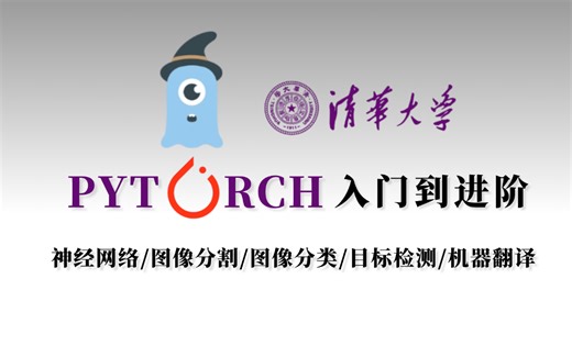 PyTorch为什么在NLP和计算机视觉中的占主导？可能是B站的PyTorch入门到进阶天花板教程！轻松学会神经网络、图像分割、图像分类、机器翻译...