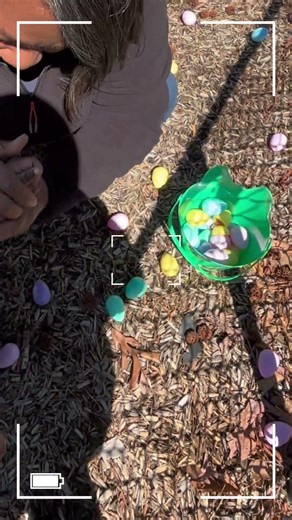 Part 2: Finding the Eggs 🥚✨🐣 #Easter #MomLife #ShortsVideo