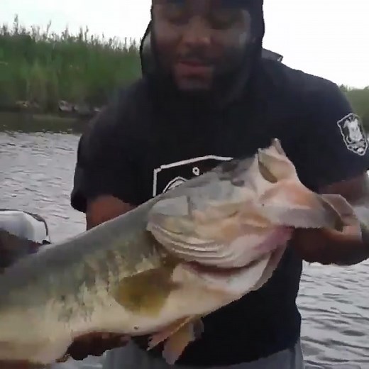 Jaw-Dropping Moment: Angler Pulls Out MONSTER Bass from Live Well! 🐟🤯 #bassfishing #bassfishingismylife #bassfishingnation #bassfishingislife #BassFishingTournaments #bassfishingclub #bassfishinglife #bassfishingtournament #bassfishingchangedmylife #bassfishinguk #bassfishingvideo #bassfishingvideos #bassfishingtime #bassfishingthecarolinas #bassfishingsummerfeelings #bassfishingpictures #bassfishingphotography #bassfishingfamily #bassfishingfl #bassfishingguide #bassfishingbaits #BASSFISHINGI