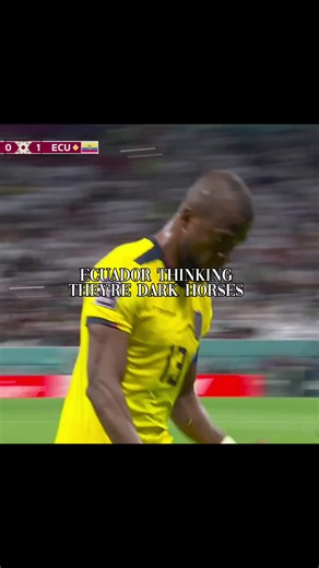 Ivory Coast are the true Dark Horses | Ivory Coast vs Ecuador | 1-0 | #ivorycoast #ecuador #darkhorse #underrated #worldcup