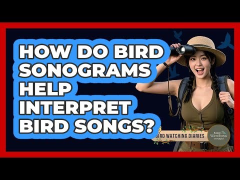 How Do Bird Sonograms Help Interpret Bird Songs? - Bird Watching Diaries