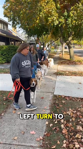 186K views · 4K reactions | Calm, confident, and in control… That’s...