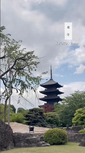 【東寺】朝の五重塔📍