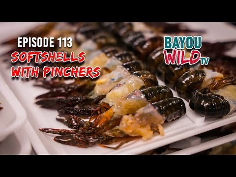 Bayou Wild [ep 113] SOFTSHELLS WITH PINCHERS