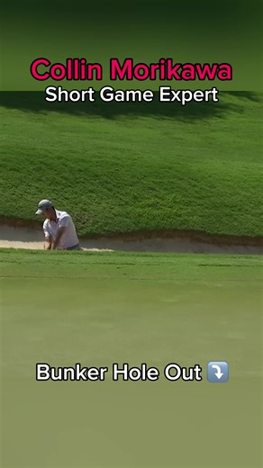 Top Moments in Golf Featuring Collin Morikawa and Tiger Woods