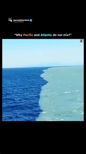 LearnyfyFactHub | Why the Pacific and Atlantic do not mix. 🌊✨ At first glance, the ocean looks like one endless body of water — calm, unified, and boundless.... | Instagram