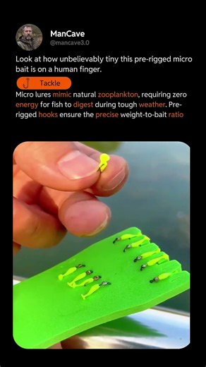 SECRET COLD WATER FISHING RIG