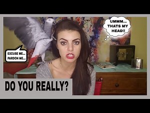 What Life Is Really Like With An African Grey | PARRONT TIP TUESDAY