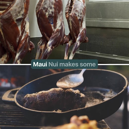 Discover Maui Nui Venison, wild-harvested on Maui, transforming an overabundance of deer into a nutrient-dense, delicious food source that nourishes both people and place. Premium protein with a vibrant, growing community passionate about exceptional flavor and nutrition without compromise. Join our ʻOhana and experience true fuel from the wild. | Maui Nui Venison