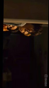 Alice in the borderlands episode 1(part1) Season 1(HD) No copyright infringement intended. #reelsvideo #koreanmovie #reels | Joemar Senosin