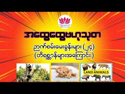 ကမ္ဘာ့့့့့အထွေ‌ေထွ ဗဟုသုတ ဉာဏ်စမ်းမေးခွန်းများ (၂၄) - တိရစ္ဆာန်များအကြောင်း #quiz #gkquiz #riddles