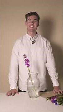 Letterbox Flowers Unboxing | Serenata Flowers