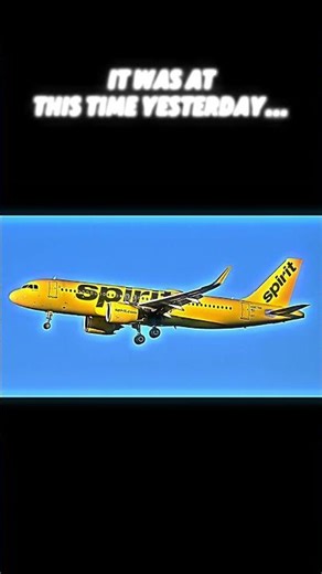 Yesterday, the bananas left us 😢 | #airplane #sad #news #trending
